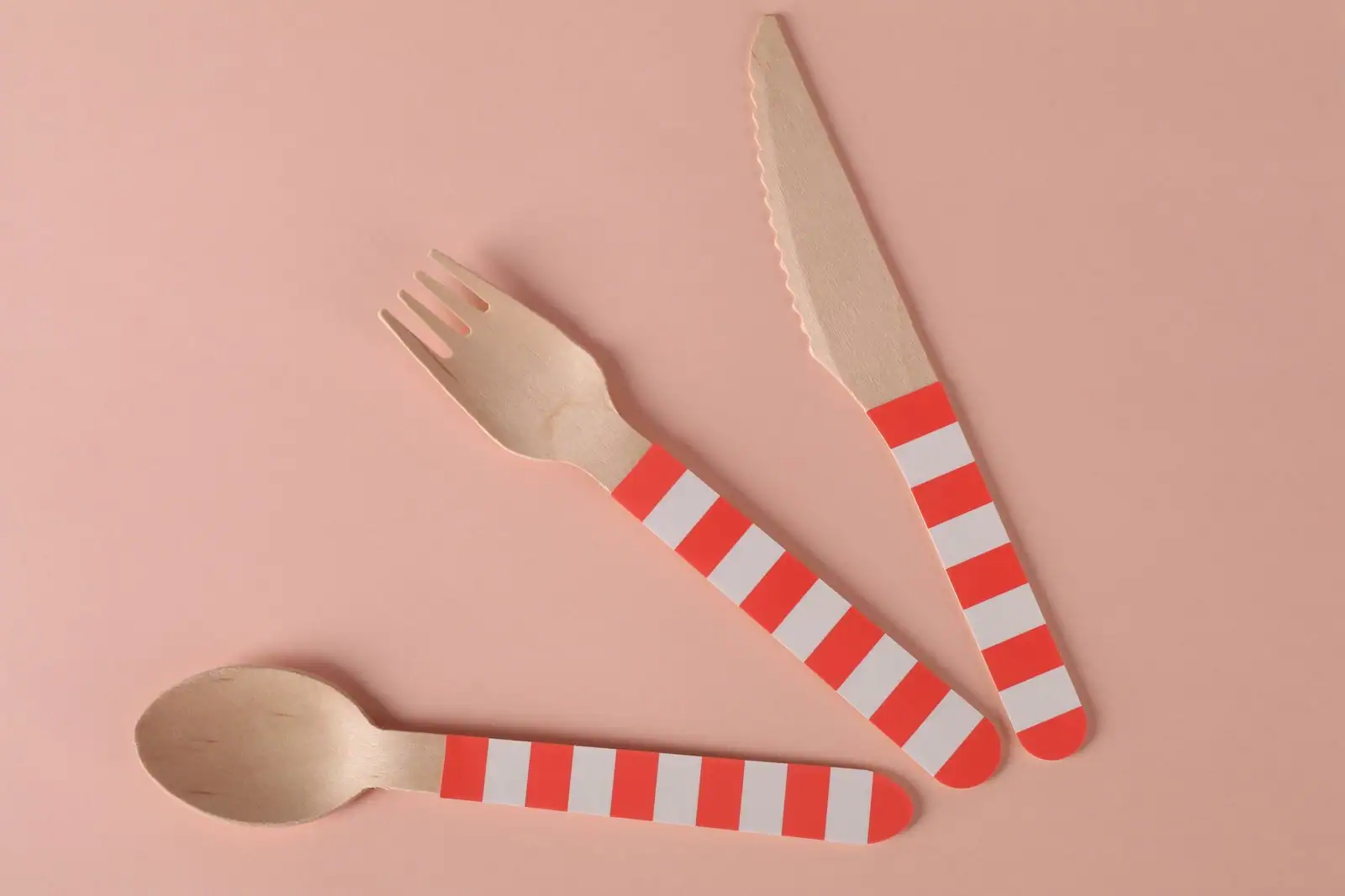 Vaisselle jetable en carton et fibres végétales : assiettes, gobelets et couverts en bois posés sur une table