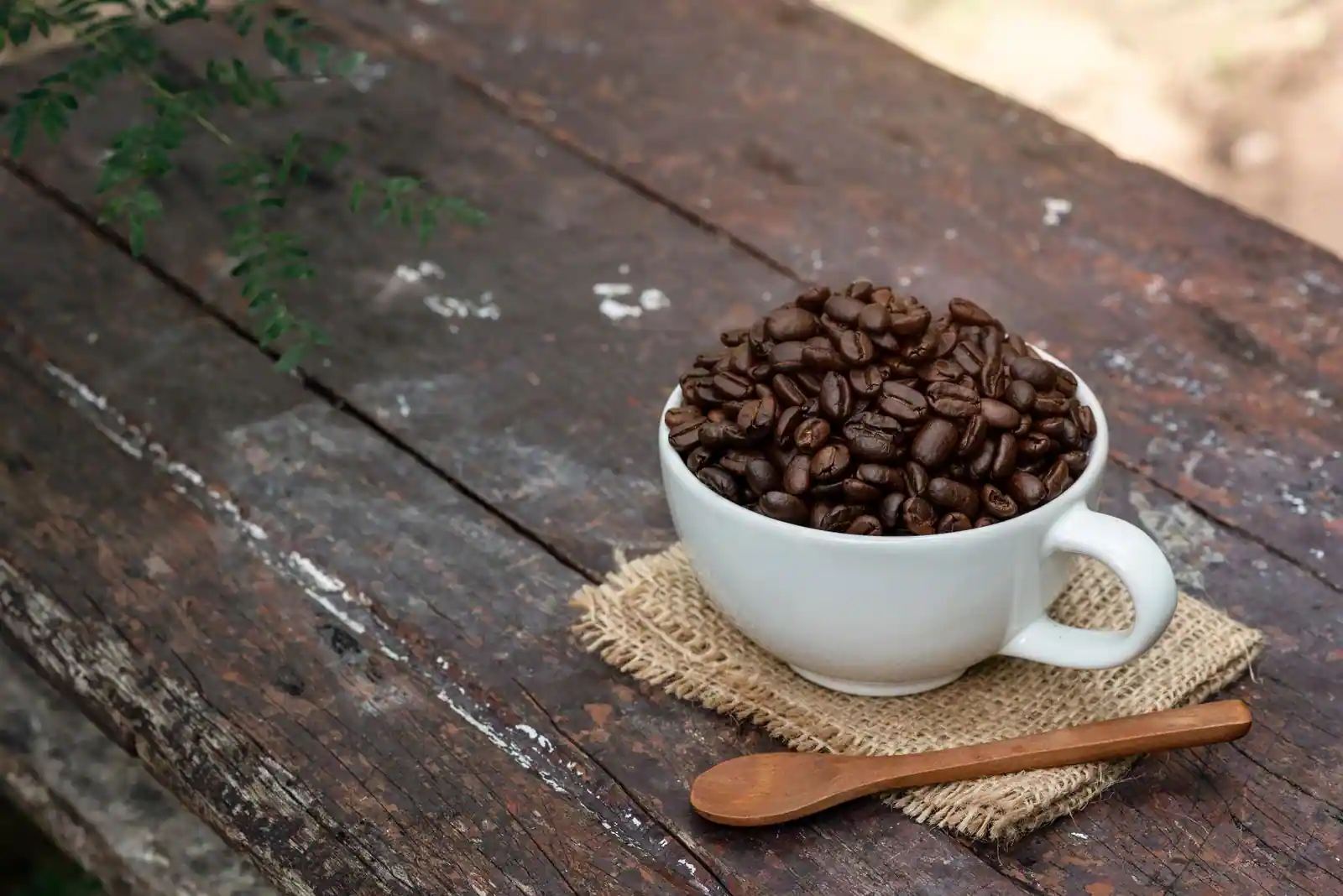 Tasse blanche remplie de grains de café torréfiés, posée sur une table en bois rustique
