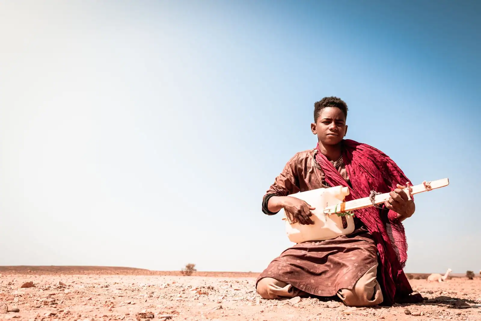 Kora, harpe-luth ouest-africaine à 21 cordes, avec sa caisse en calebasse recouverte de peau.