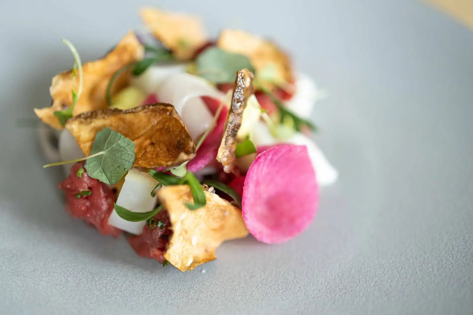 Assiette de cuisine contemporaine au dressage soigné : copeaux croustillants, radis rose et jeunes pousses