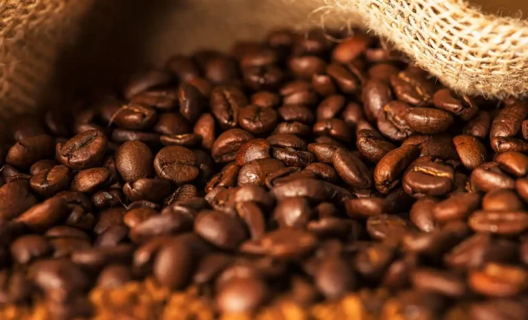 Café arabica : comment le reconnaître et bien le choisir